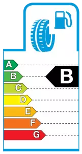 Tyre label example